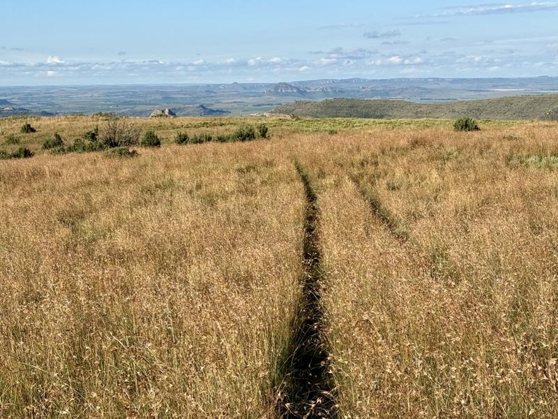 0 Bedroom Property for Sale in Fouriesburg Free State